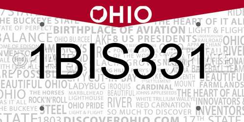 1BIS331 Ohio License Plate