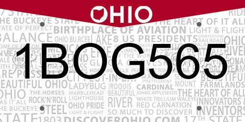 1BOG565 Ohio License Plate