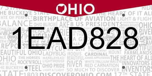 1EAD828 Ohio License Plate
