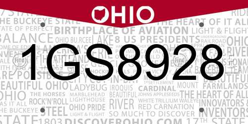 1GS8928 Ohio License Plate