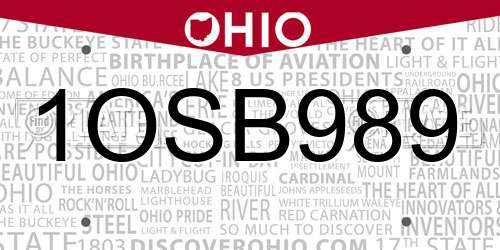 1OSB989 Ohio License Plate