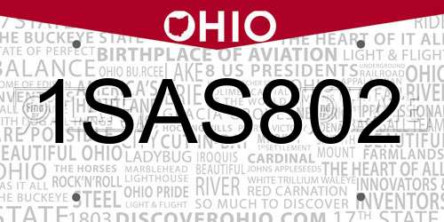 1SAS802 Ohio License Plate