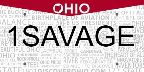 1SAVAGE Ohio License Plate