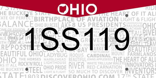1SS119 Ohio License Plate