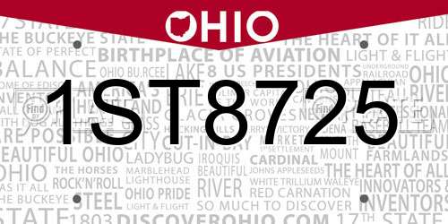 1ST8725 Ohio License Plate