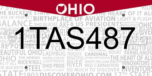 1TAS487 Ohio License Plate