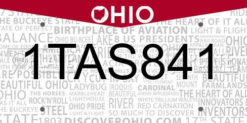 1TAS841 Ohio License Plate