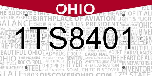 1TS8401 Ohio License Plate