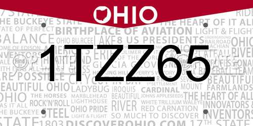 1TZZ65 Ohio License Plate