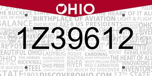 1Z39612 Ohio License Plate