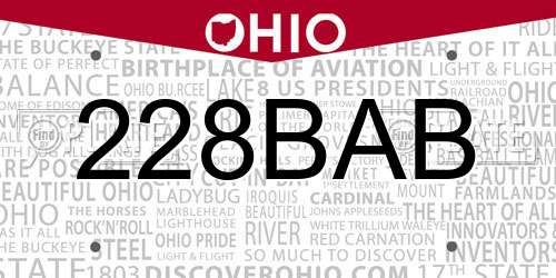 228BAB Ohio License Plate