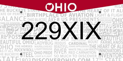 229XIX Ohio License Plate