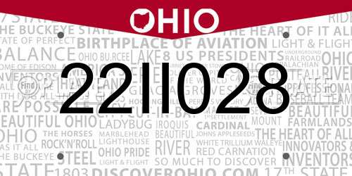 22II028 Ohio License Plate