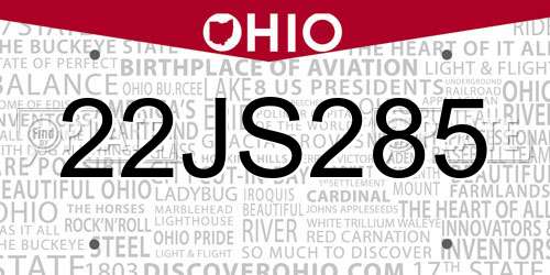 22JS285 Ohio License Plate