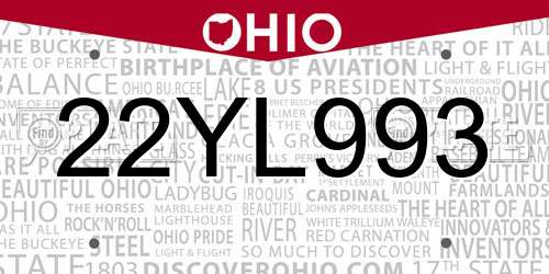 22YL993 Ohio License Plate