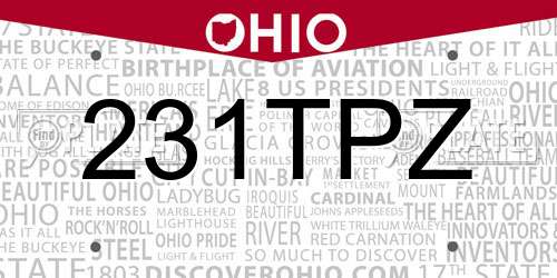 231TPZ Ohio License Plate