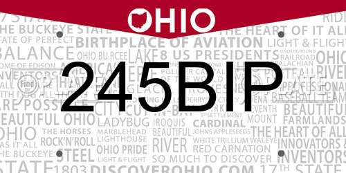 245BIP Ohio License Plate