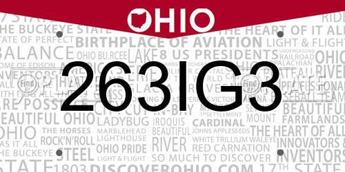 263IG3 Ohio License Plate