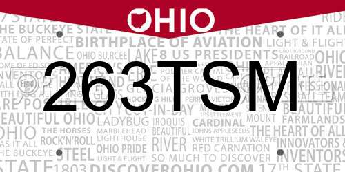 263TSM Ohio License Plate