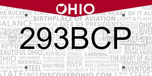 293BCP Ohio License Plate