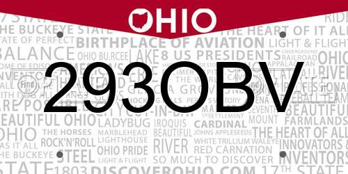 293OBV Ohio License Plate