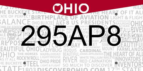 295AP8 Ohio License Plate