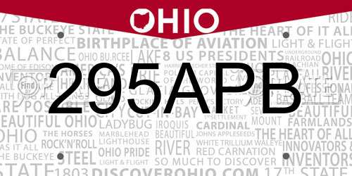 295APB Ohio License Plate