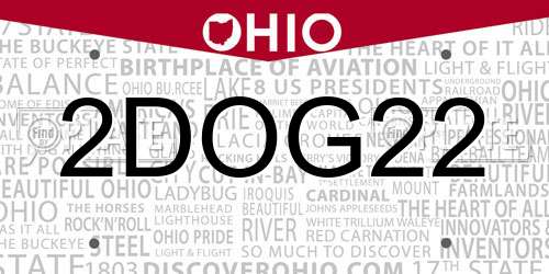 2DOG22 Ohio License Plate