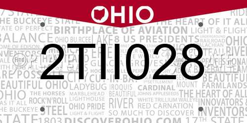 2TII028 Ohio License Plate