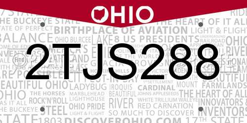 2TJS288 Ohio License Plate