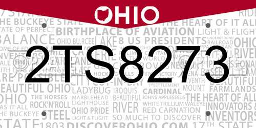 2TS8273 Ohio License Plate