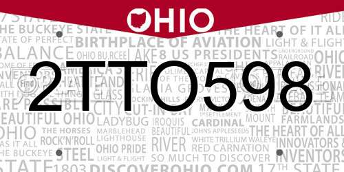 2TTO598 Ohio License Plate