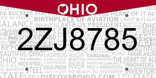 2ZJ8785 Ohio License Plate