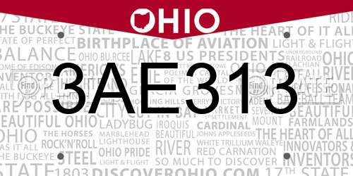 3AE313 Ohio License Plate