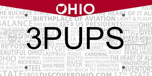 3PUPS Ohio License Plate