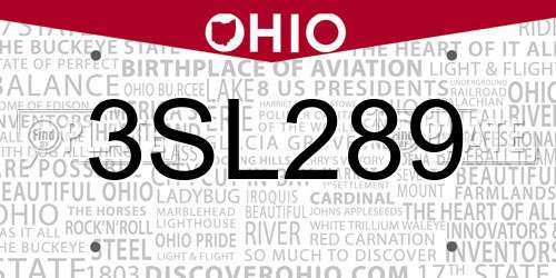 3SL289 Ohio License Plate