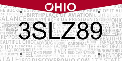 3SLZ89 Ohio License Plate