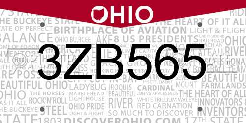 3ZB565 Ohio License Plate