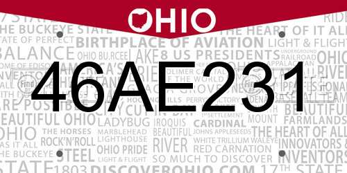 46AE231 Ohio License Plate