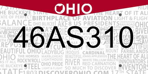 46AS310 Ohio License Plate