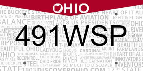 491WSP Ohio License Plate