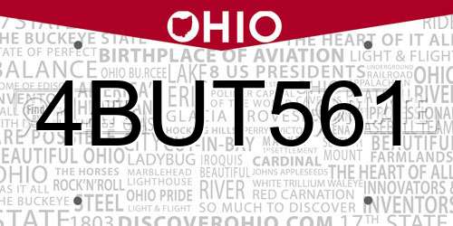 4BUT561 Ohio License Plate