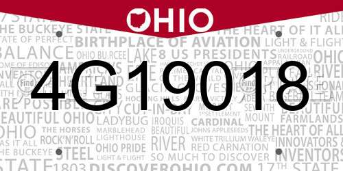 4G19018 Ohio License Plate