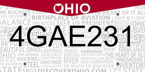 4GAE231 Ohio License Plate