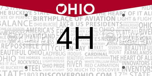 4H Ohio License Plate