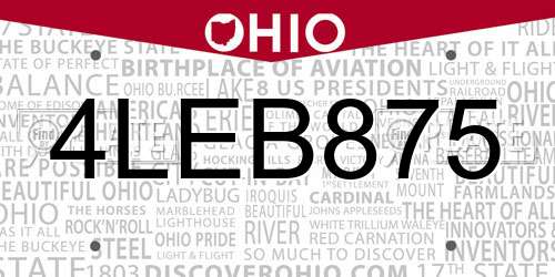 4LEB875 Ohio License Plate