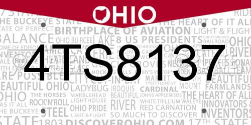 4TS8137 Ohio License Plate