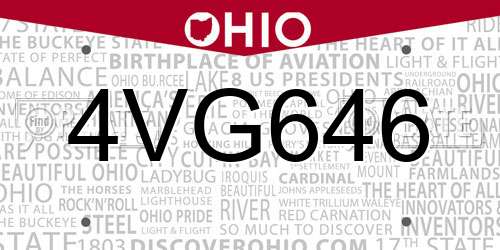 4VG646 Ohio License Plate