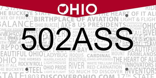 502ASS Ohio License Plate
