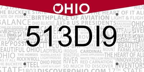 513DI9 Ohio License Plate